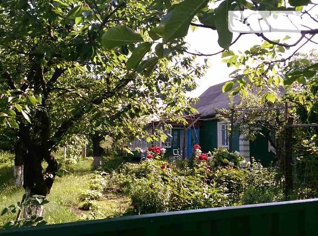 одноповерховий будинок з садом, 80 кв. м, цегла. Продаж в Оленівці (Вінницька обл.) фото 1 одноповерховий будинок з садом, 80 кв. м, цегла. Продаж в Оленівці (Вінницька обл.) фото 1
