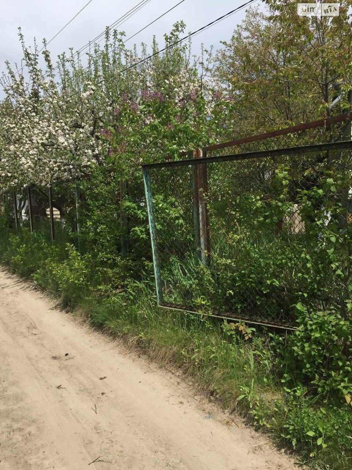 одноповерховий будинок, 100 кв. м, шлакоблок. Продаж у Могилеві-Подільському фото 1 одноповерховий будинок, 100 кв. м, шлакоблок. Продаж у Могилеві-Подільському фото 1