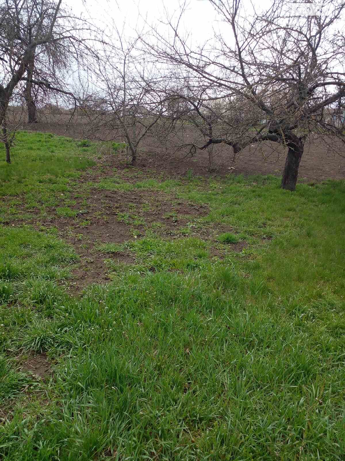 одноповерховий будинок з гаражем, 90 кв. м, цегла. Продаж у Могильному фото 1 одноповерховий будинок з гаражем, 90 кв. м, цегла. Продаж у Могильному фото 1