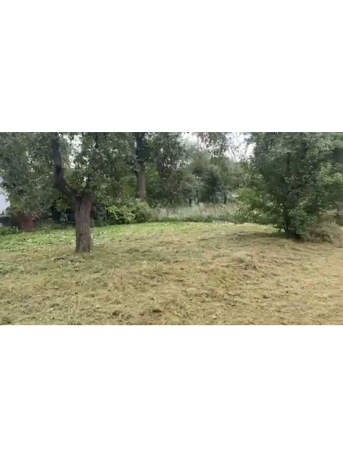 одноповерховий будинок, 85 кв. м, цегла. Продаж у МолодавомуТретьому фото 1 одноповерховий будинок, 85 кв. м, цегла. Продаж у МолодавомуТретьому фото 1