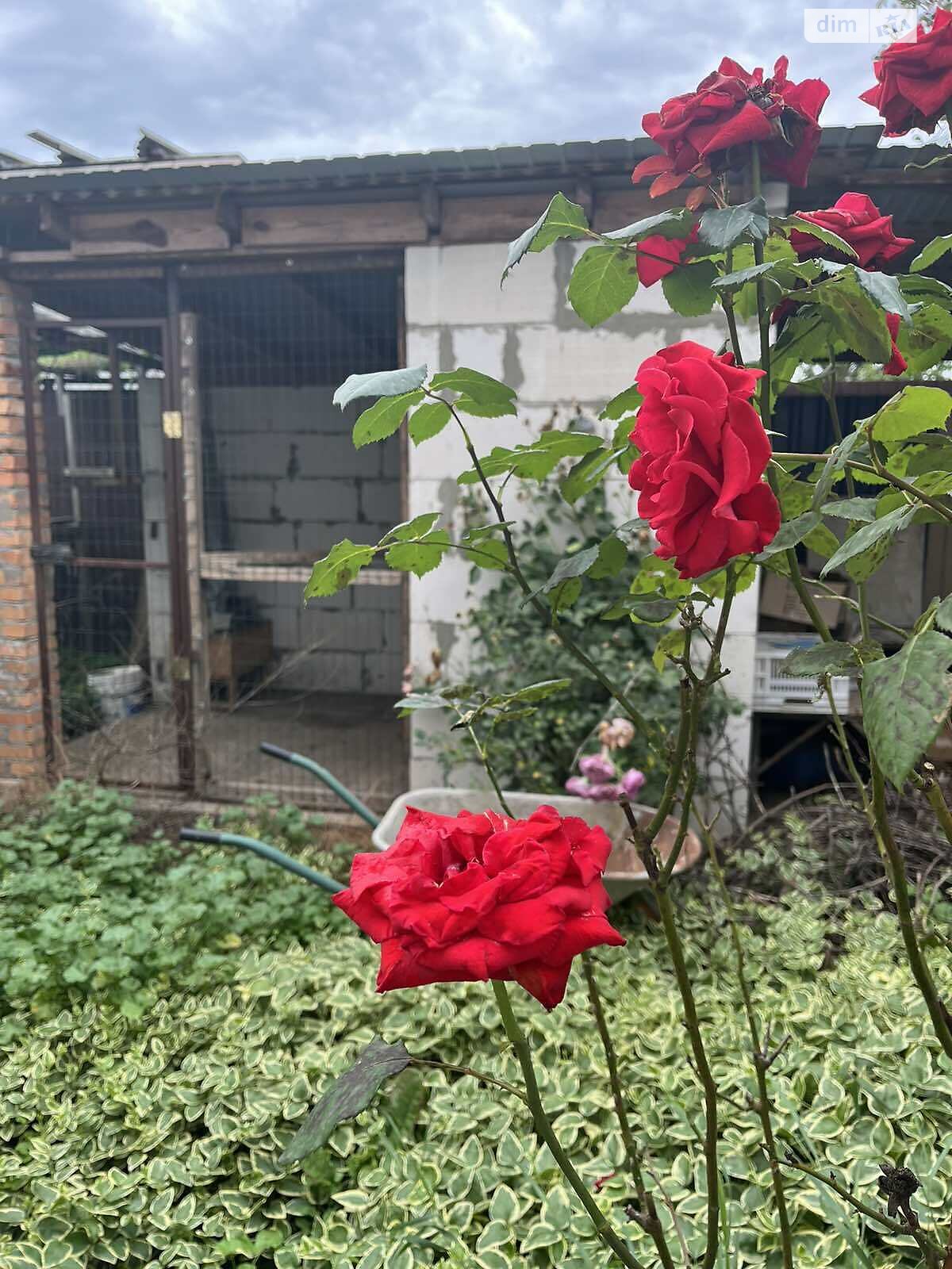 одноэтажный дом, 150 кв. м, газобетон. Продажа в Молодежном фото 1 одноэтажный дом, 150 кв. м, газобетон. Продажа в Молодежном фото 1