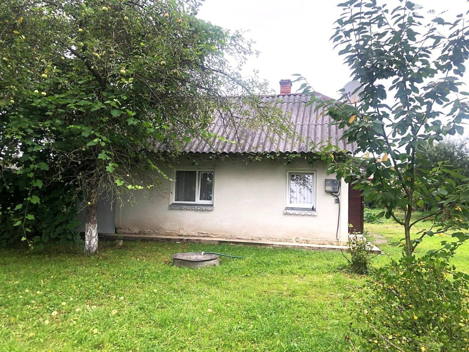 одноповерховий будинок з гаражем, 24 кв. м, цегла. Продаж у Монастирчанах фото 1