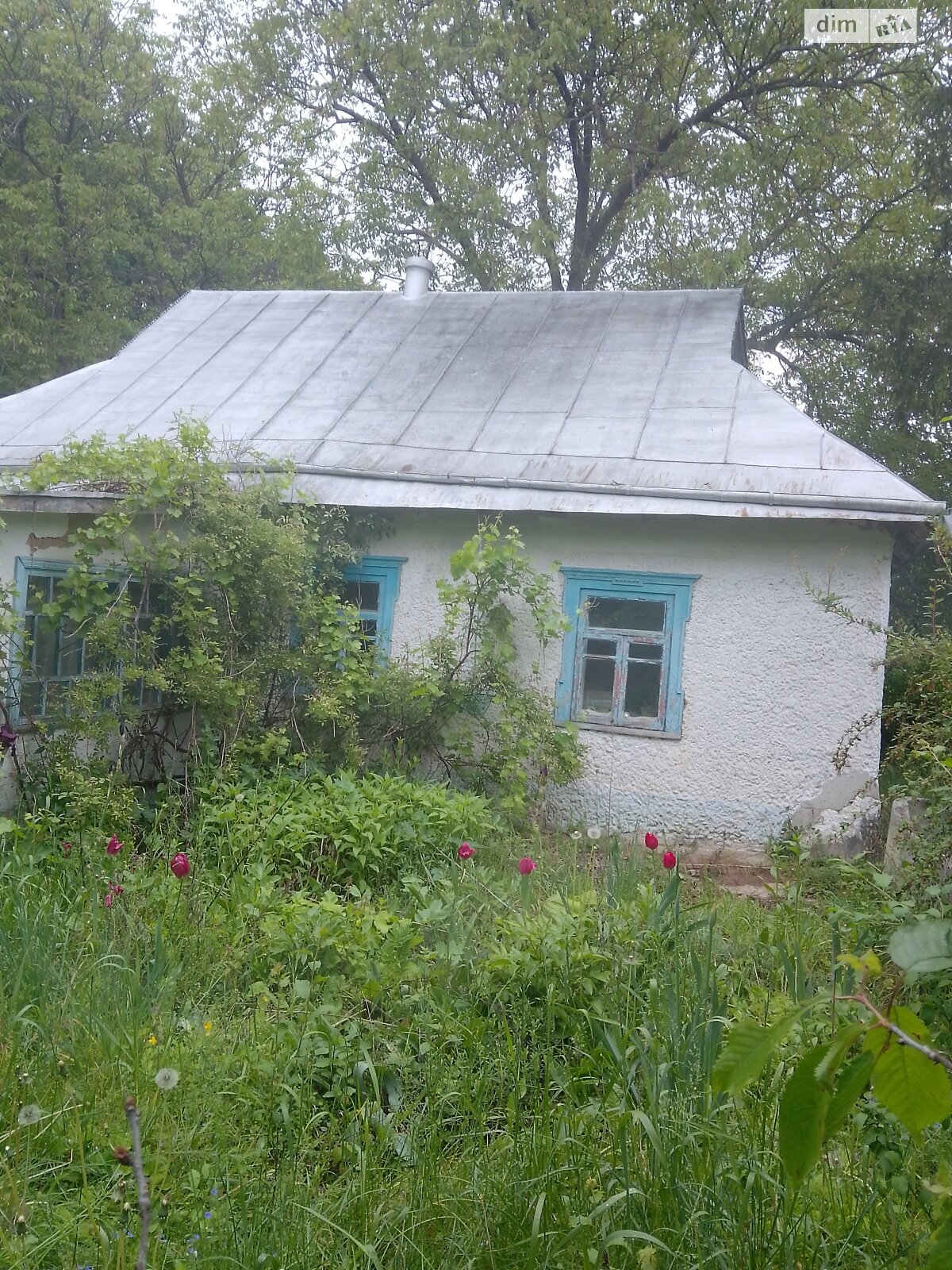 одноповерховий будинок з верандою, 68.6 кв. м, цегла саманна. Продаж у Моринцях фото 1 одноповерховий будинок з верандою, 68.6 кв. м, цегла саманна. Продаж у Моринцях фото 1