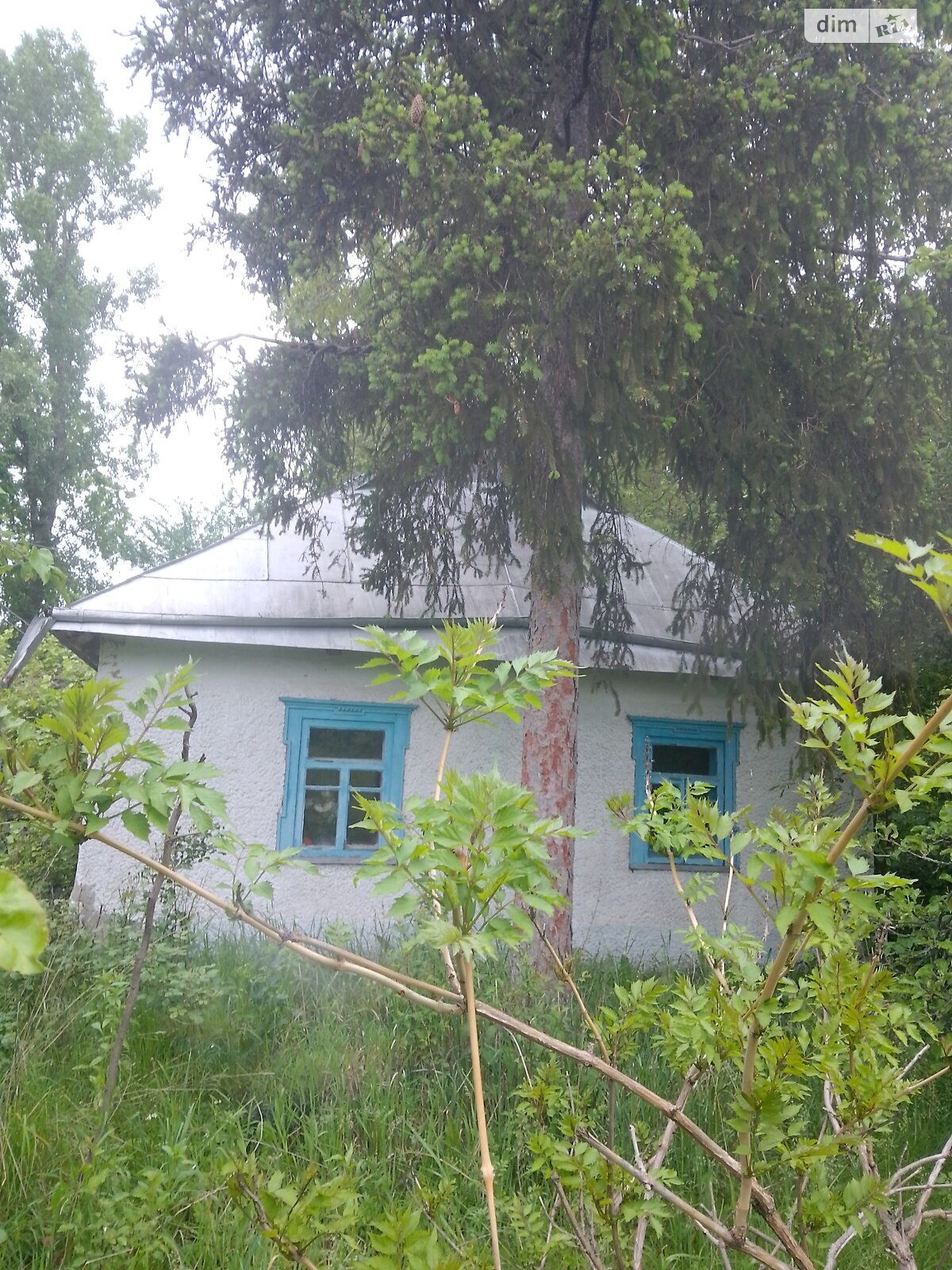 одноповерховий будинок з верандою, 68.6 кв. м, цегла саманна. Продаж у Моринцях фото 1 одноповерховий будинок з верандою, 68.6 кв. м, цегла саманна. Продаж у Моринцях фото 1