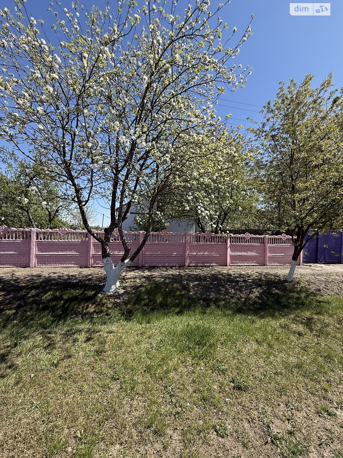одноповерховий будинок з гаражем, 31 кв. м, цегла. Продаж у Морозівці фото 1 одноповерховий будинок з гаражем, 31 кв. м, цегла. Продаж у Морозівці фото 1
