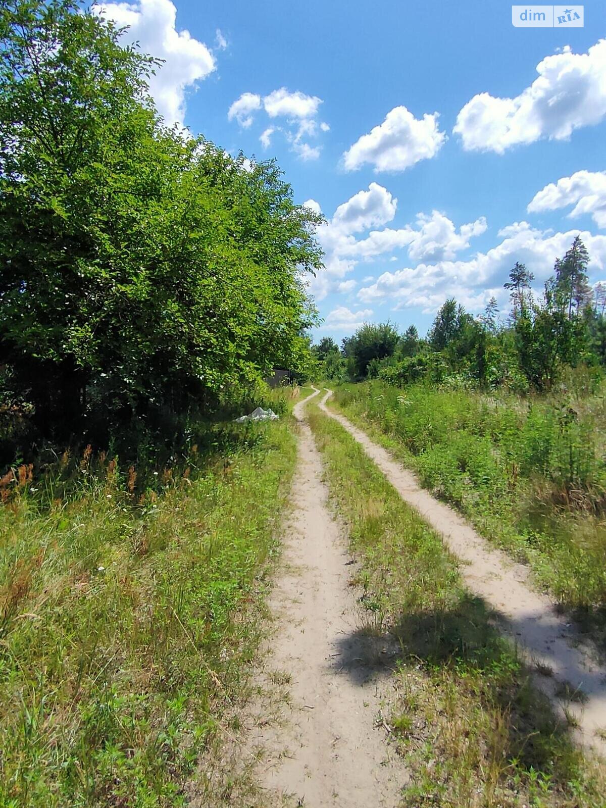 одноповерховий будинок, 80 кв. м, кирпич. Продаж у Мошнах фото 1 одноповерховий будинок, 80 кв. м, кирпич. Продаж у Мошнах фото 1