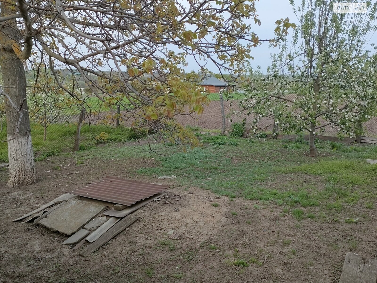одноповерховий будинок з верандою, 60.8 кв. м, цегла. Продаж у Мошурові фото 1 одноповерховий будинок з верандою, 60.8 кв. м, цегла. Продаж у Мошурові фото 1