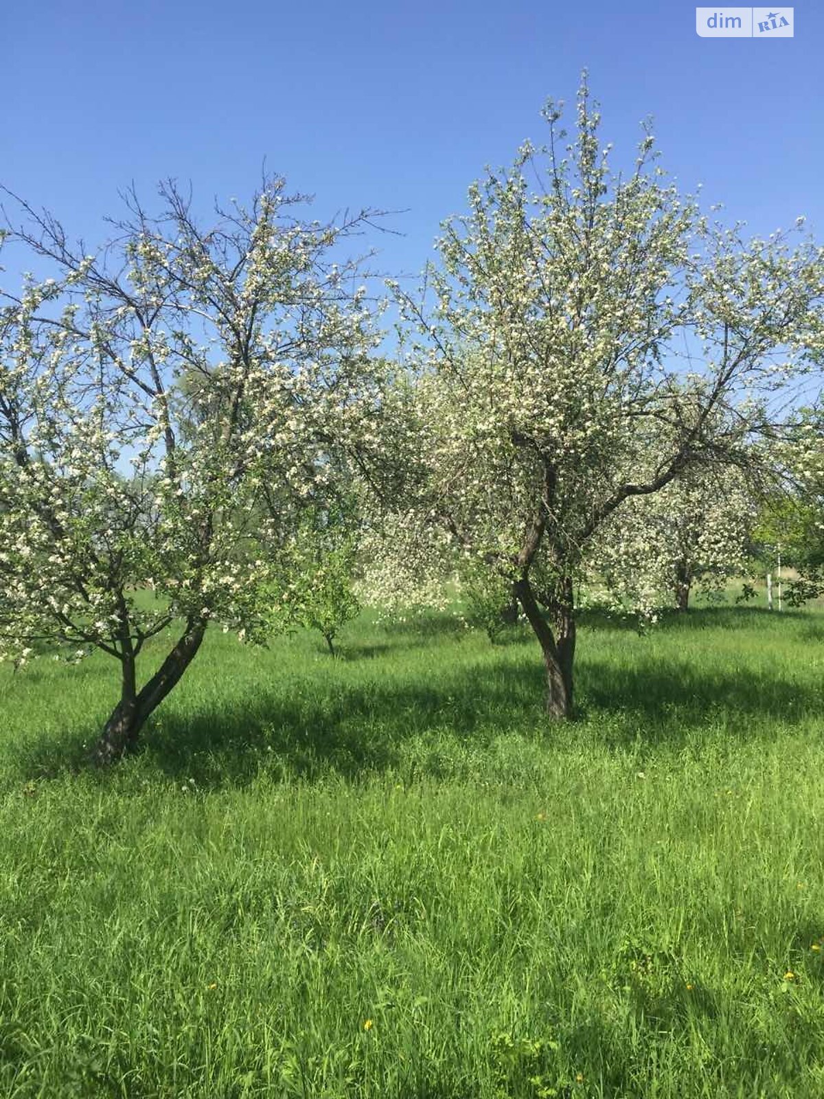 одноэтажный дом, 89.3 кв. м, кирпич. Продажа в Мотижине фото 1 одноэтажный дом, 89.3 кв. м, кирпич. Продажа в Мотижине фото 1