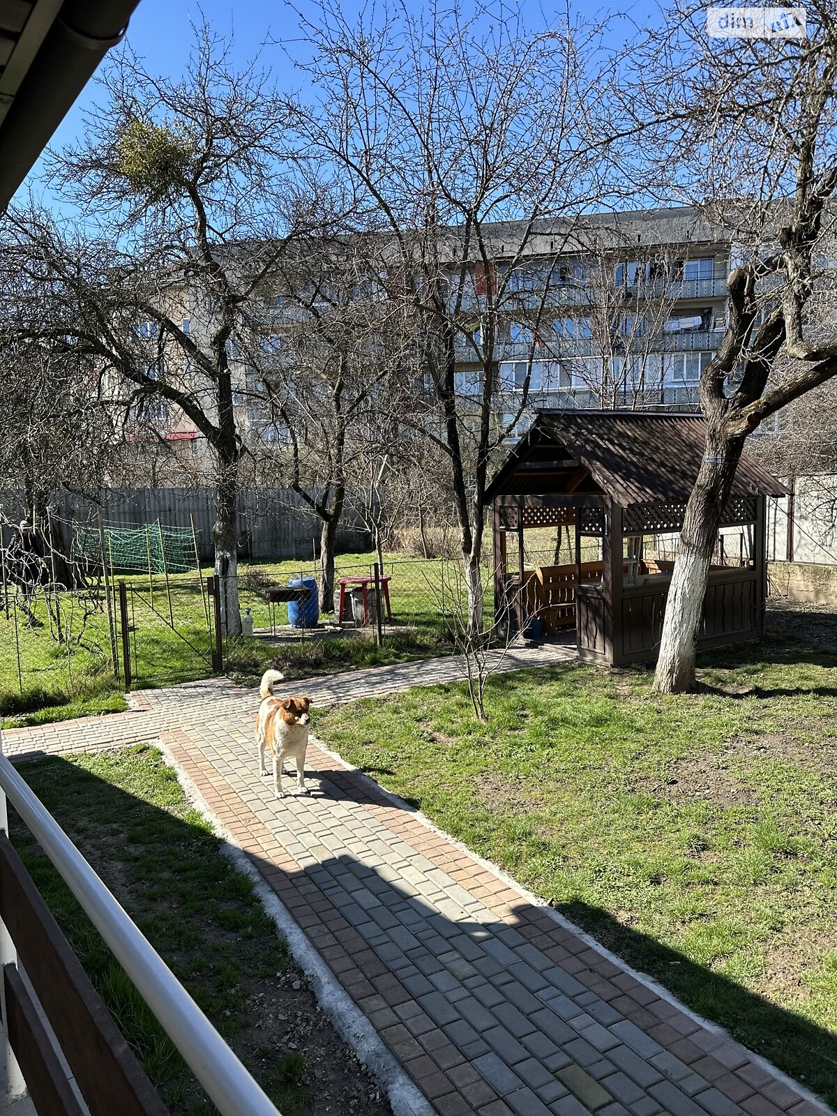 одноповерховий будинок з ремонтом, 81.8 кв. м, кирпич. Продаж у Мукачеві фото 1 одноповерховий будинок з ремонтом, 81.8 кв. м, кирпич. Продаж у Мукачеві фото 1