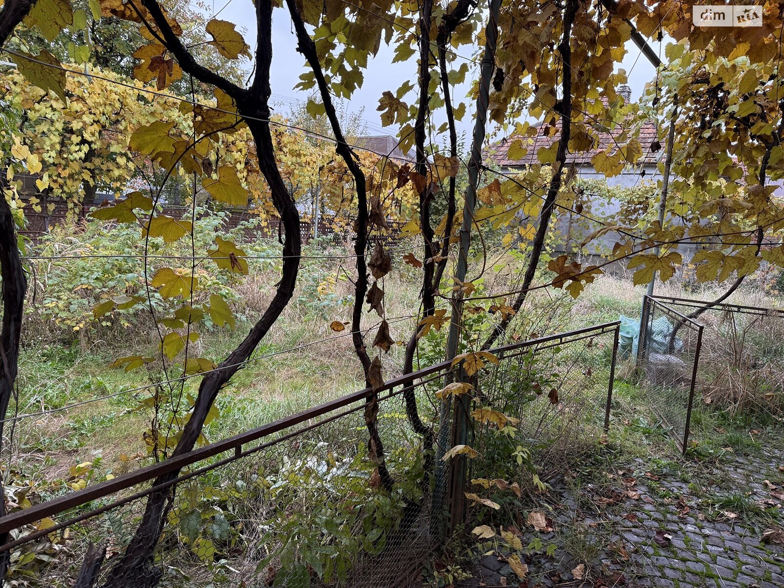 одноэтажный дом, 66.5 кв. м, кирпич саманный. Продажа в Мукачеве район Подгорцы фото 1