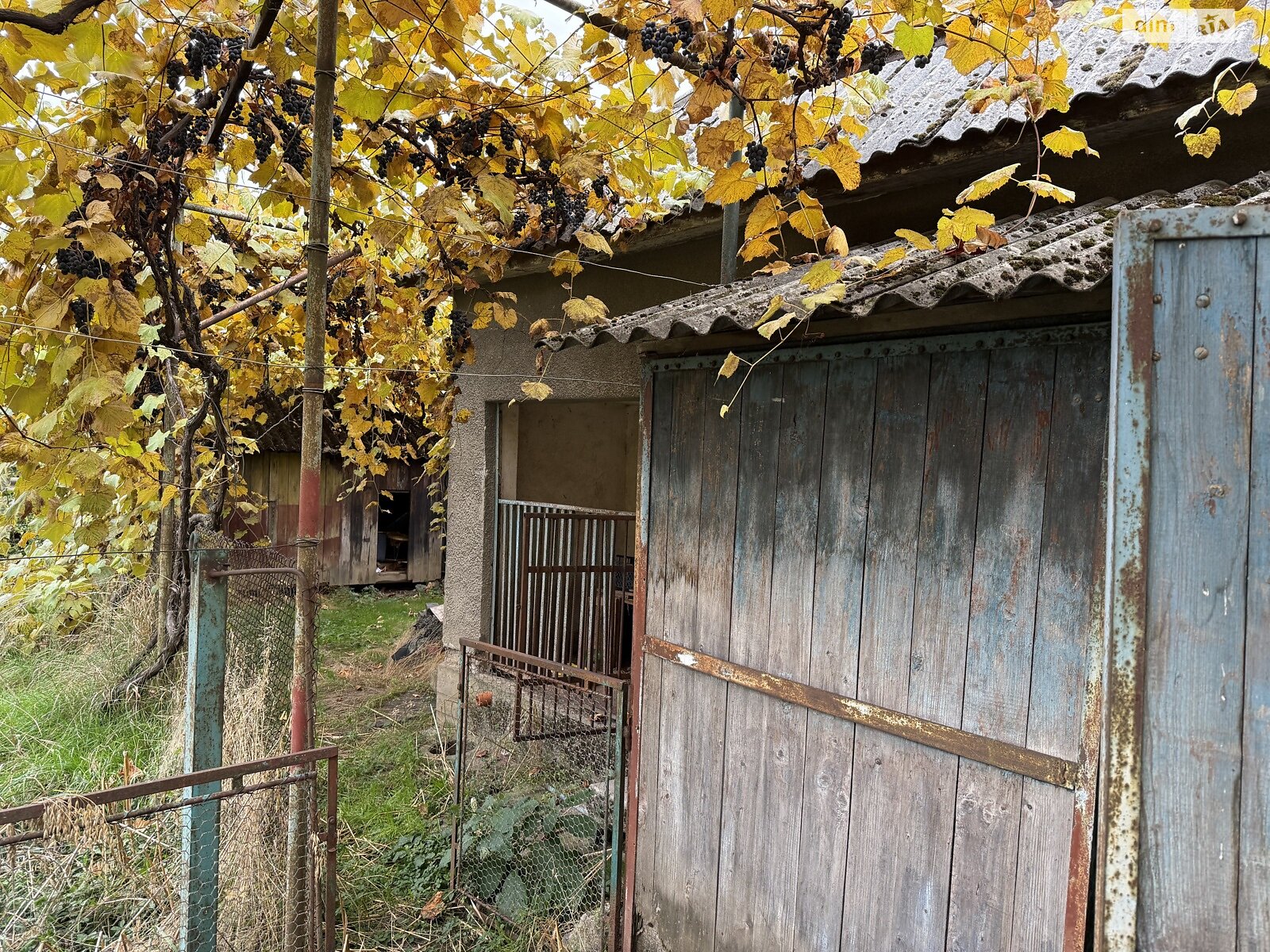 одноэтажный дом, 66.5 кв. м, кирпич саманный. Продажа в Мукачеве район Подгорцы фото 1