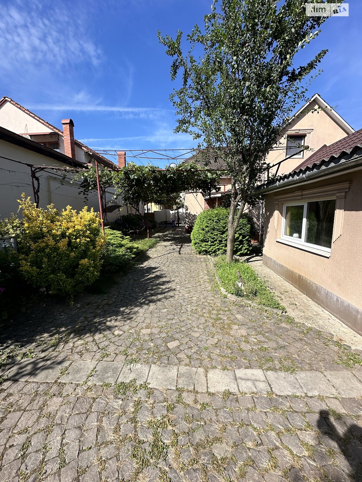одноповерховий будинок, 100 кв. м, цегла. Продаж в Мукачеві, район Росвигово фото 1 одноповерховий будинок, 100 кв. м, цегла. Продаж в Мукачеві, район Росвигово фото 1