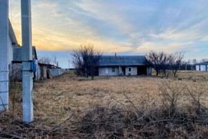 одноэтажный дом с гаражом, 80 кв. м, ракушечник (ракушняк). Продажа в Музичах фото 2