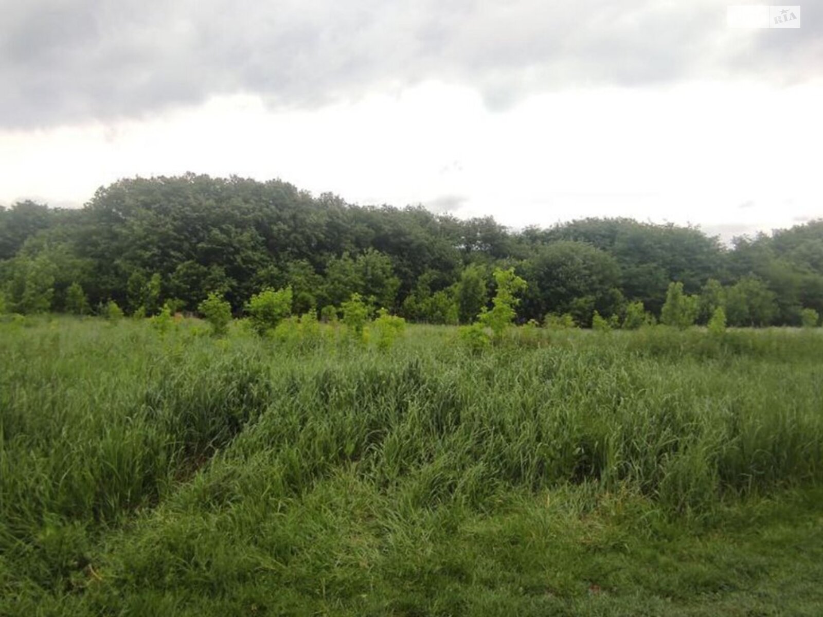 двоповерховий будинок без меблів, 137 кв. м, газобетон. Продаж у Музичах фото 1