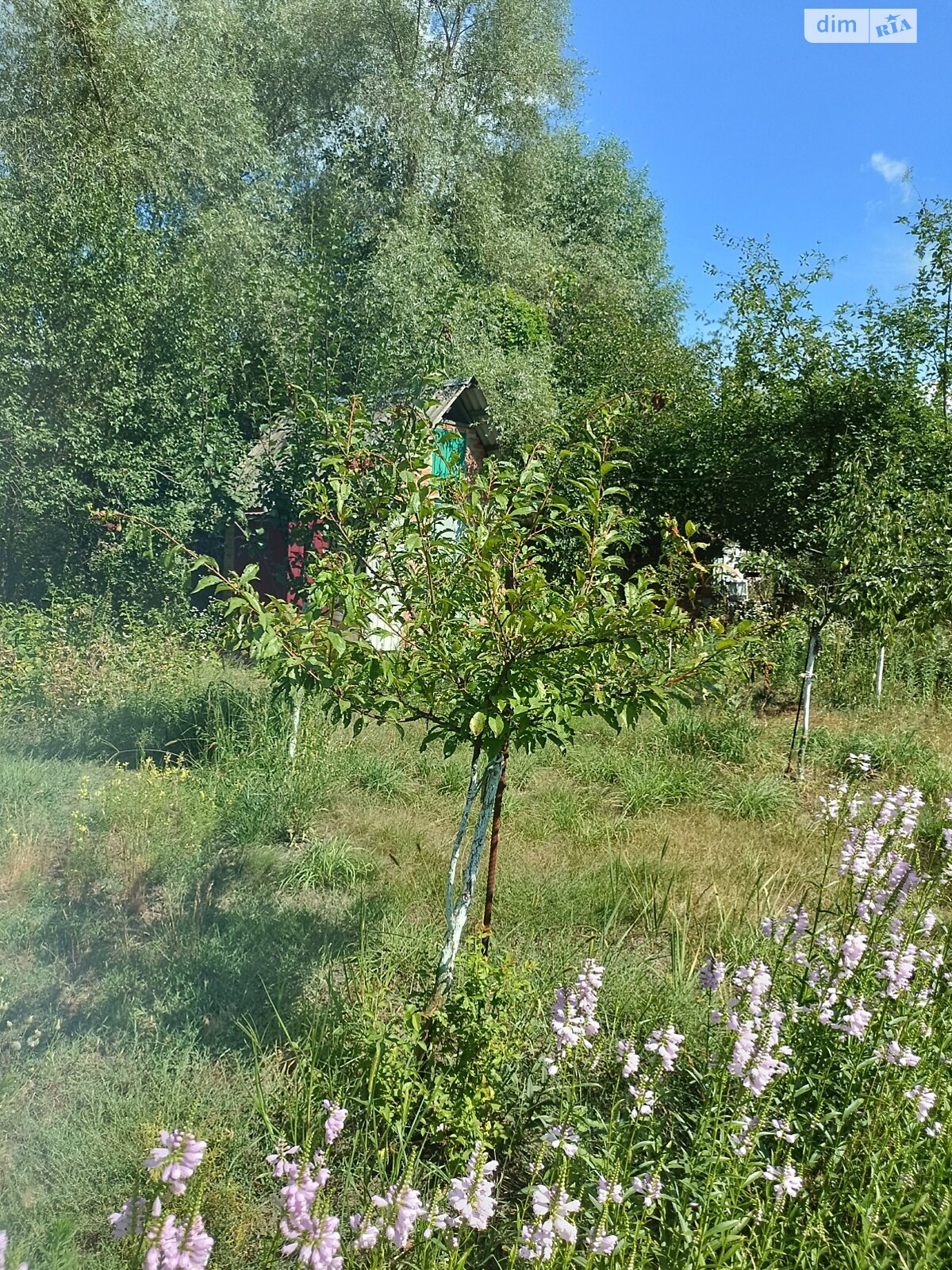 двоповерховий будинок, 87.3 кв. м, цегла. Продаж у Надержинщиній фото 1 двоповерховий будинок, 87.3 кв. м, цегла. Продаж у Надержинщиній фото 1