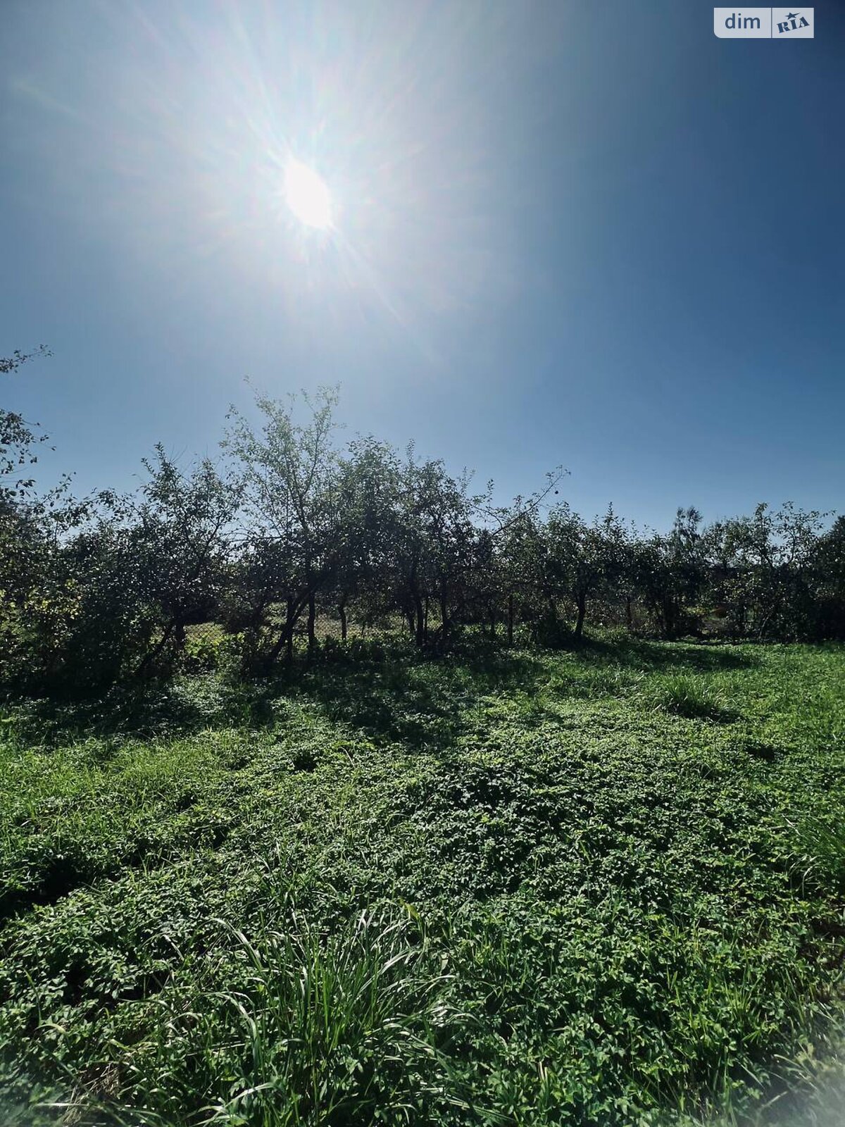 одноповерховий будинок, 69.3 кв. м, цегла. Продаж у Наконечному Першому фото 1 одноповерховий будинок, 69.3 кв. м, цегла. Продаж у Наконечному Першому фото 1