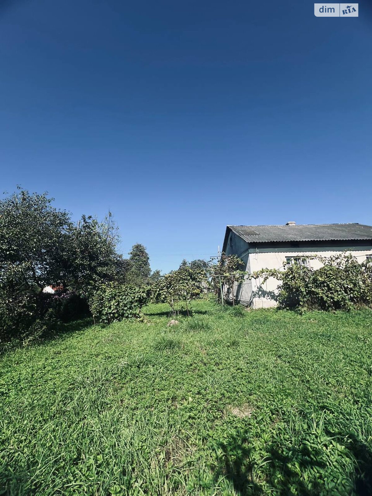 одноповерховий будинок, 69.3 кв. м, цегла. Продаж у Наконечному Першому фото 1 одноповерховий будинок, 69.3 кв. м, цегла. Продаж у Наконечному Першому фото 1