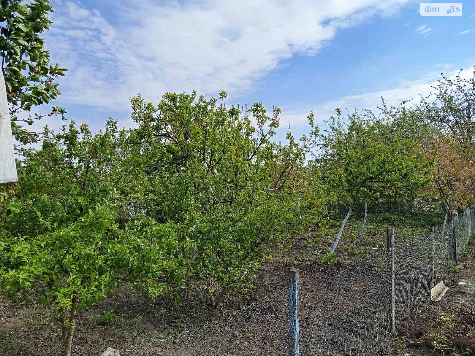 одноэтажный дом, 87 кв. м, кирпич. Продажа в Нападовке фото 1 одноэтажный дом, 87 кв. м, кирпич. Продажа в Нападовке фото 1