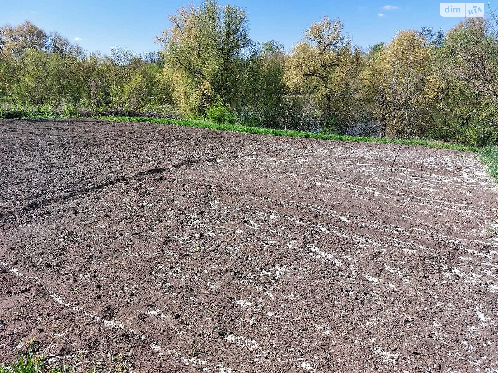 одноповерховий будинок, 57 кв. м, цегла саманна. Продаж у Нападівці фото 1 одноповерховий будинок, 57 кв. м, цегла саманна. Продаж у Нападівці фото 1