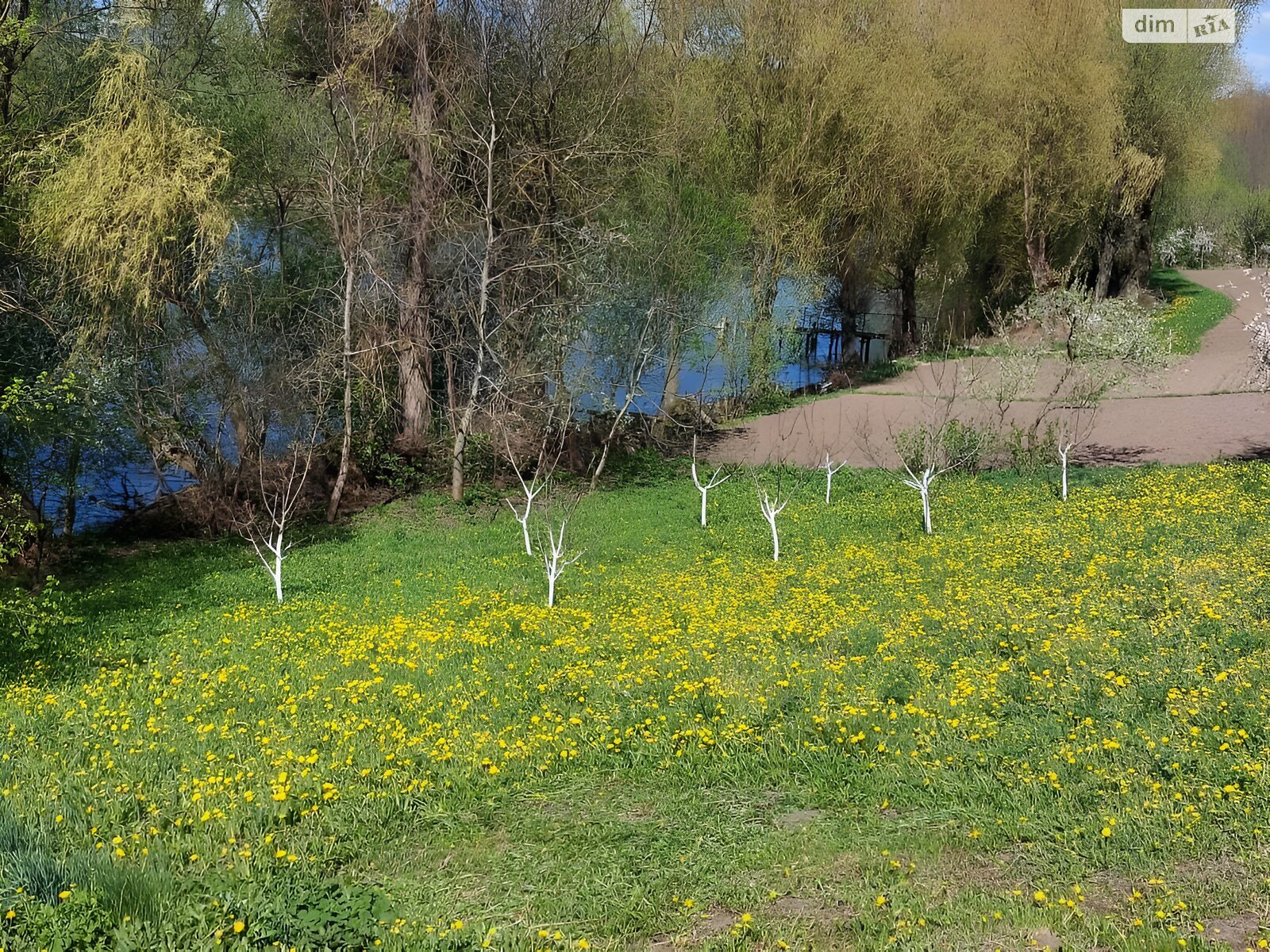 одноповерховий будинок, 57 кв. м, цегла саманна. Продаж у Нападівці фото 1 одноповерховий будинок, 57 кв. м, цегла саманна. Продаж у Нападівці фото 1