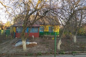 одноповерховий будинок з верандою, 110 кв. м, зруб. Продаж у Наталівці фото 2