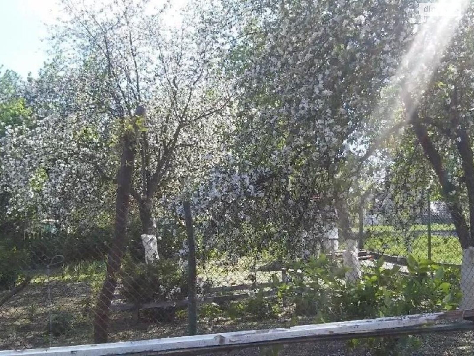 одноповерховий будинок з верандою, 110 кв. м, зруб. Продаж у Наталівці фото 1 одноповерховий будинок з верандою, 110 кв. м, зруб. Продаж у Наталівці фото 1