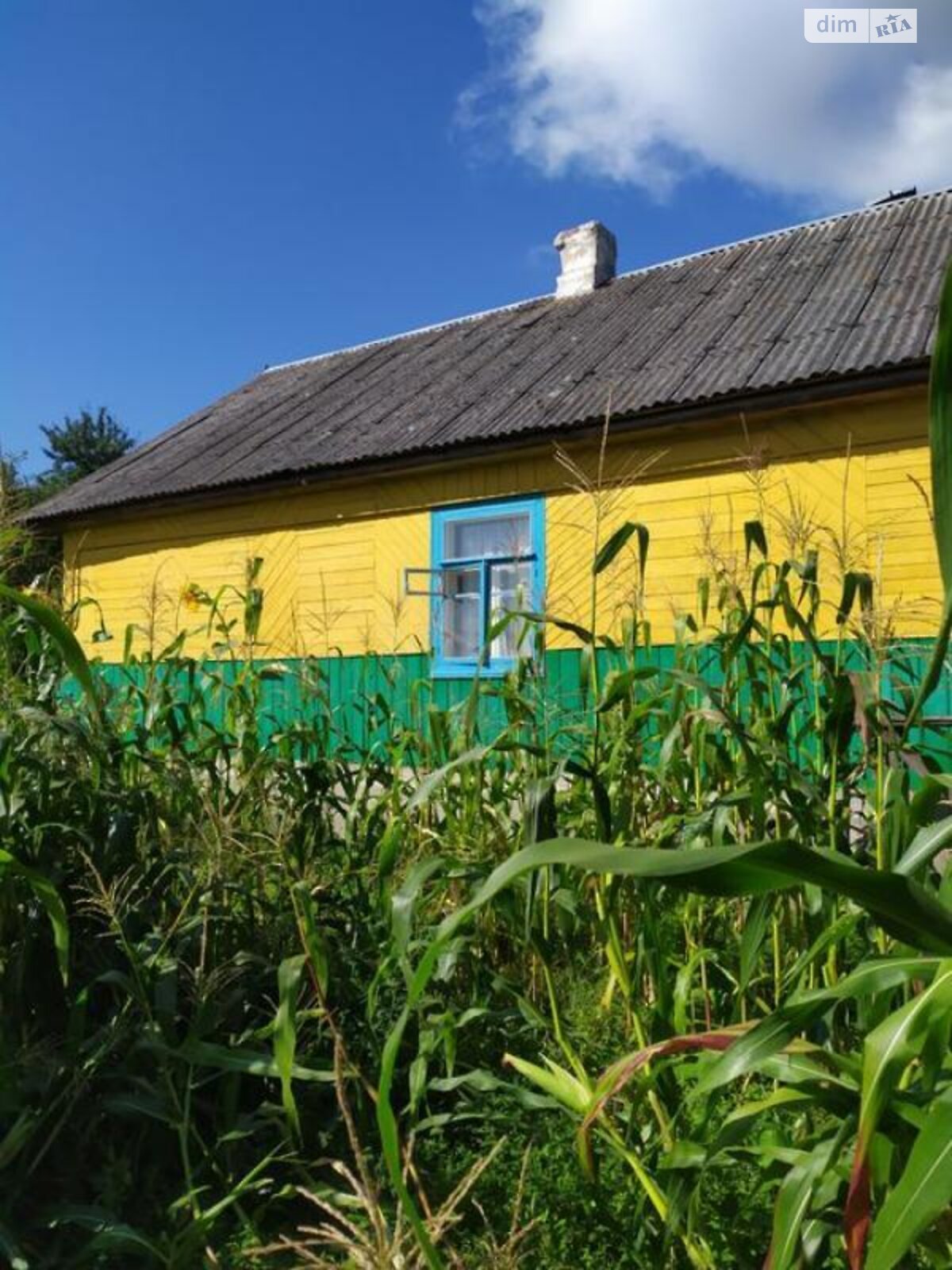 одноповерховий будинок з верандою, 110 кв. м, зруб. Продаж у Наталівці фото 1 одноповерховий будинок з верандою, 110 кв. м, зруб. Продаж у Наталівці фото 1