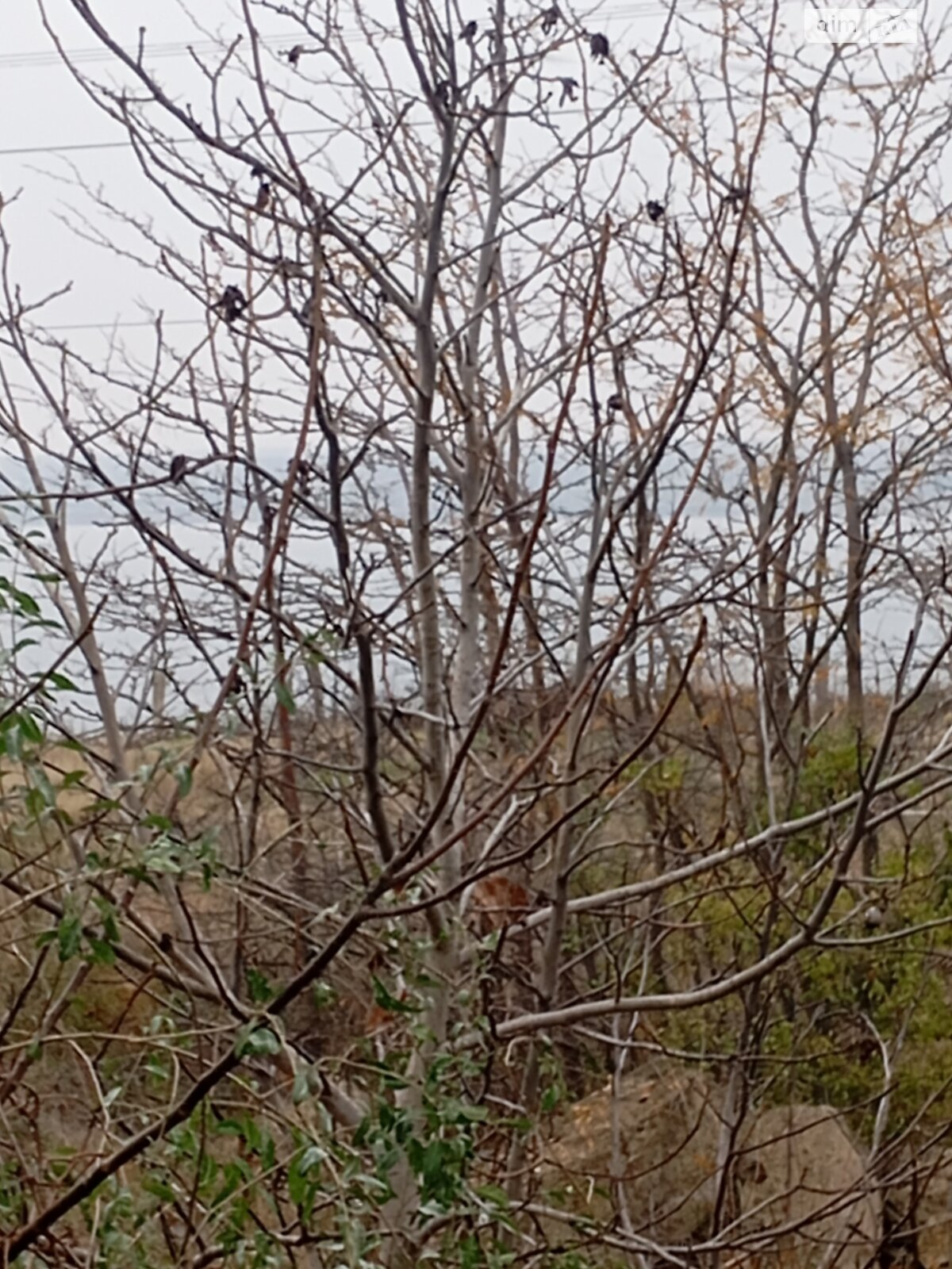 двоповерховий будинок, 100 кв. м, цегла. Продаж у Наті фото 1 двоповерховий будинок, 100 кв. м, цегла. Продаж у Наті фото 1