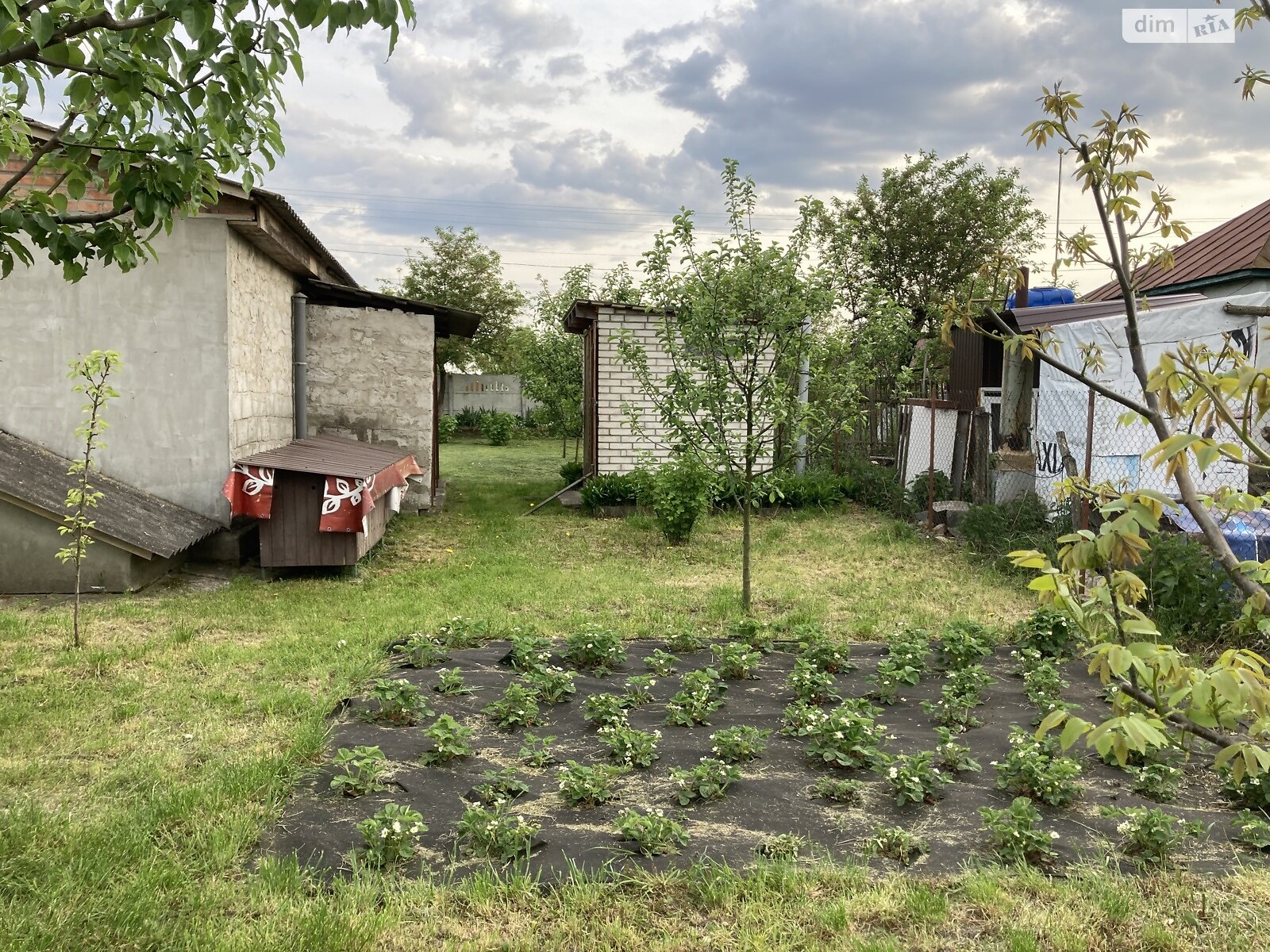 одноповерховий будинок веранда, 75 кв. м, цегла силікатна. Продаж в Наумівці фото 1