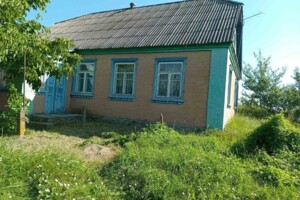 одноповерховий будинок з верандою, 100 кв. м, цегла. Продаж у Небіжі фото 2