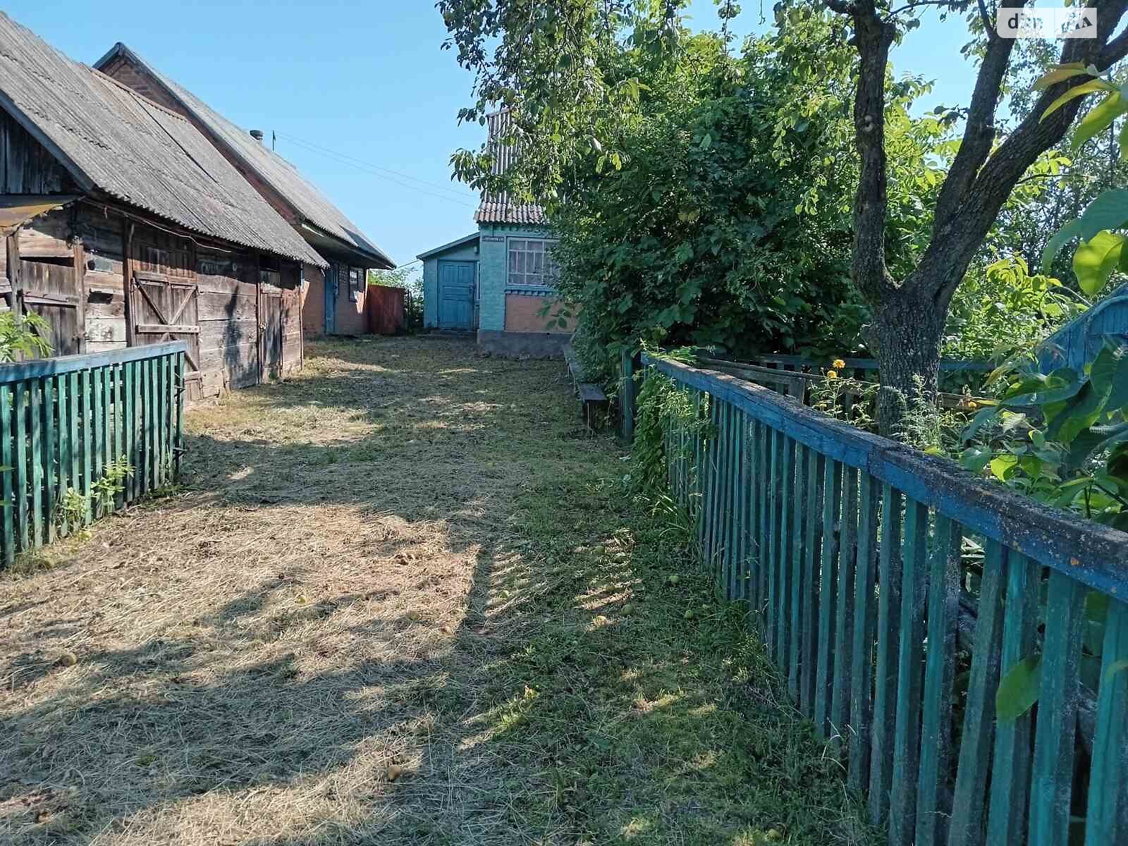 одноповерховий будинок, 120 кв. м, цегла. Продаж у Небіжі фото 1 одноповерховий будинок, 120 кв. м, цегла. Продаж у Небіжі фото 1