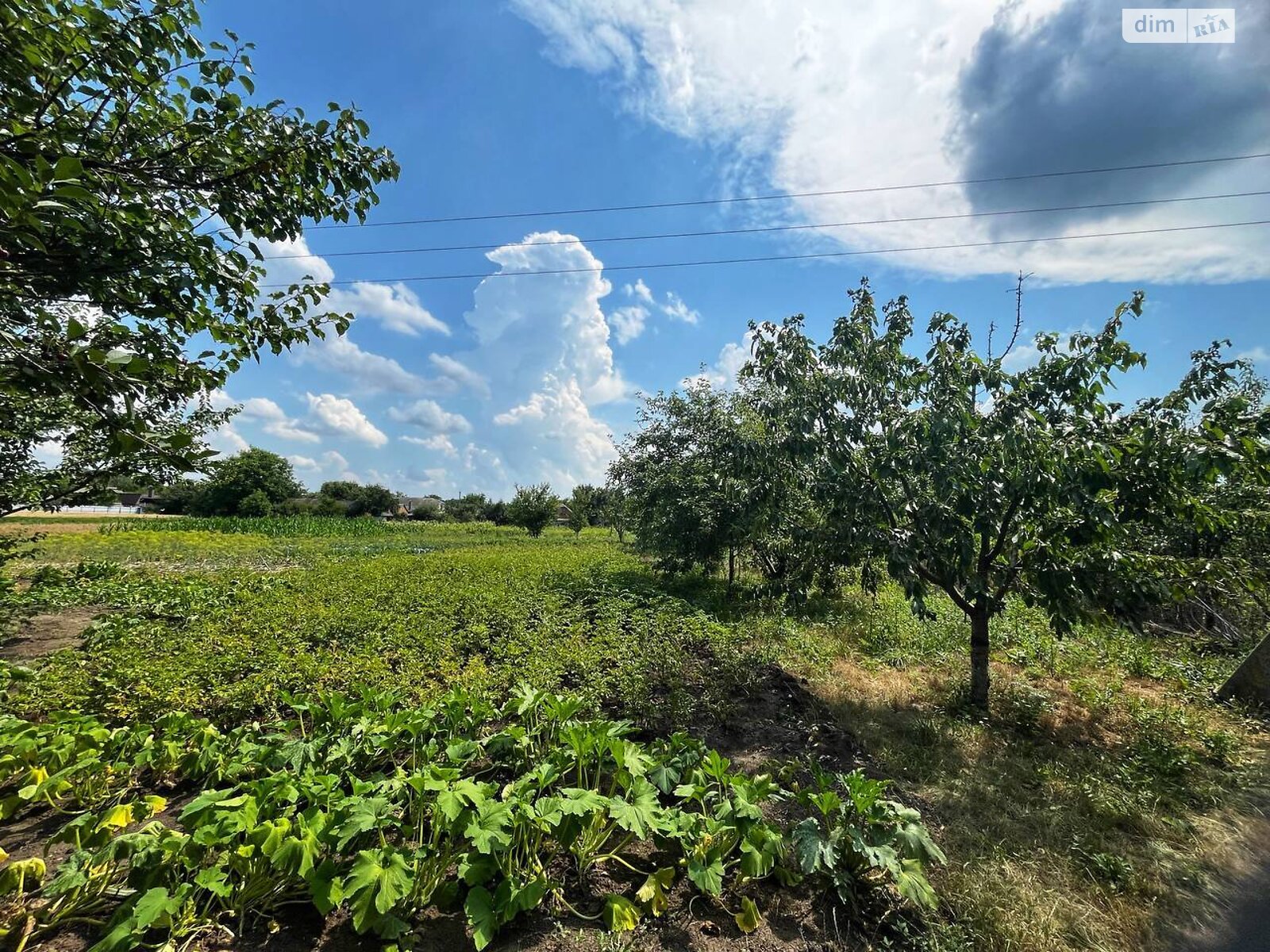 одноповерховий будинок з гаражем, 92.2 кв. м, цегла. Продаж в Недригайлові, район Недригайлів фото 1