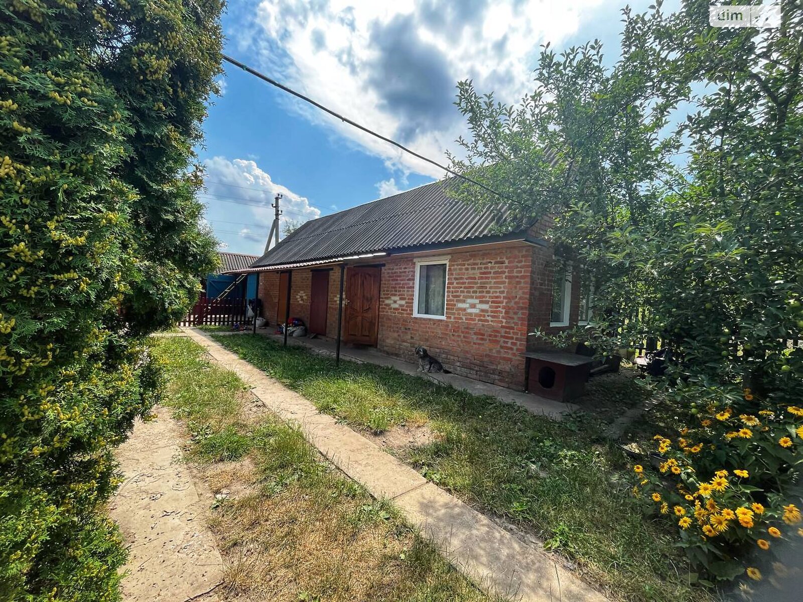 одноповерховий будинок з гаражем, 92.2 кв. м, цегла. Продаж в Недригайлові, район Недригайлів фото 1