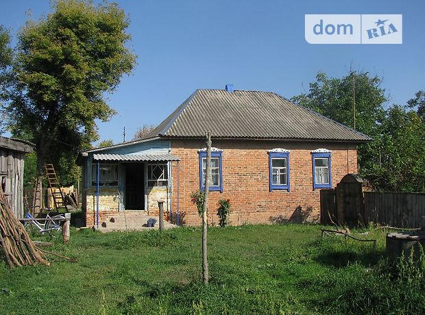 одноэтажный дом с садом, 76 кв. м, кирпич. Продажа в Великой Кошеловке (Черниговская обл.) фото 1 одноэтажный дом с садом, 76 кв. м, кирпич. Продажа в Великой Кошеловке (Черниговская обл.) фото 1