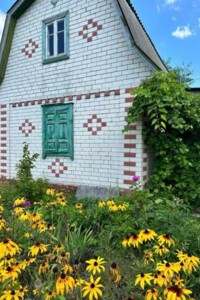 двоповерховий будинок, 30 кв. м, цегла. Продаж у Ніжині фото 2