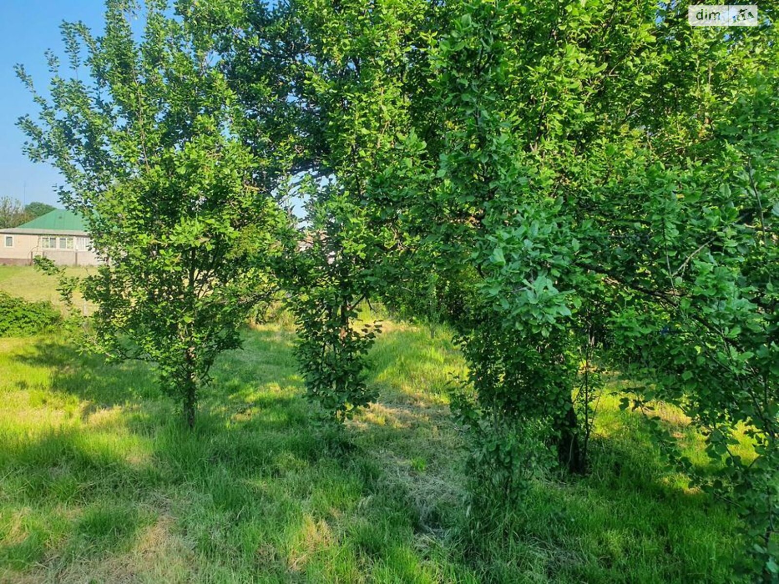 одноповерховий будинок, 51.5 кв. м, зруб. Продаж у Ніжині фото 1 одноповерховий будинок, 51.5 кв. м, зруб. Продаж у Ніжині фото 1