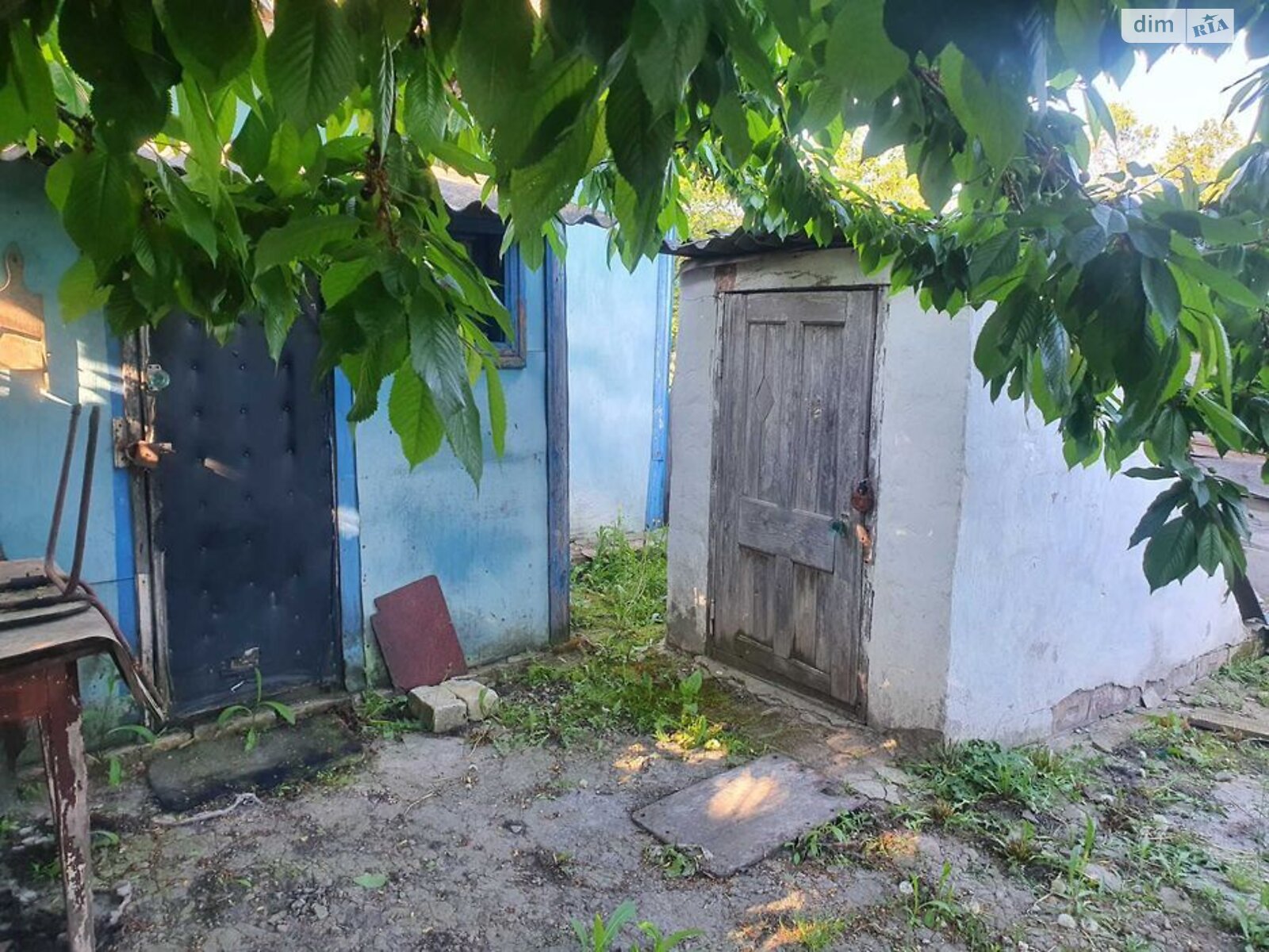 одноповерховий будинок, 51.5 кв. м, зруб. Продаж у Ніжині фото 1 одноповерховий будинок, 51.5 кв. м, зруб. Продаж у Ніжині фото 1