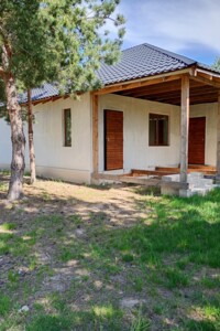 одноповерховий будинок, 110 кв. м, газобетон. Продаж у Юзвині фото 2