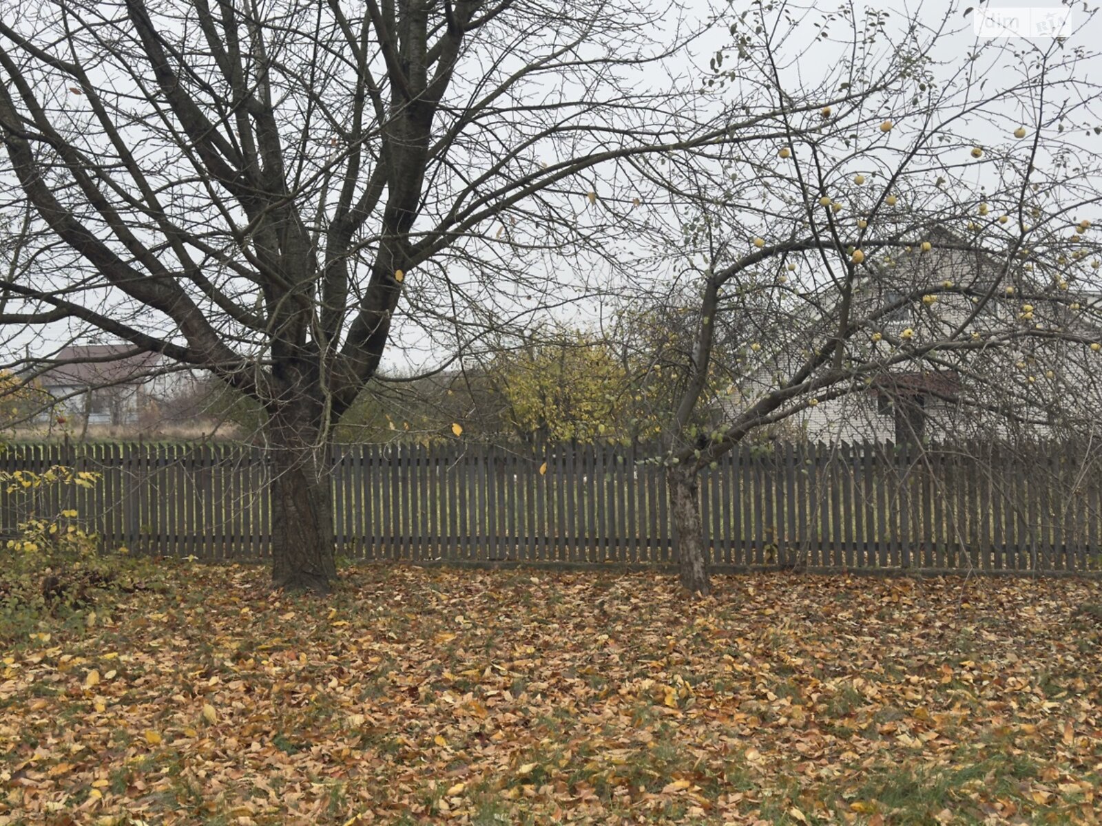 одноэтажный дом с гаражом, 48.5 кв. м, кирпич. Продажа в Немирове район Немиров фото 1 одноэтажный дом с гаражом, 48.5 кв. м, кирпич. Продажа в Немирове район Немиров фото 1