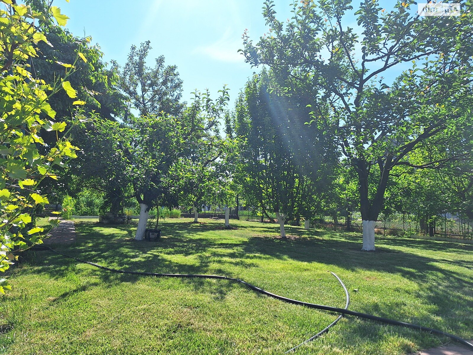 двоповерховий будинок з гаражем, 200 кв. м, цегла. Продаж в Немирові, район Немирів фото 1