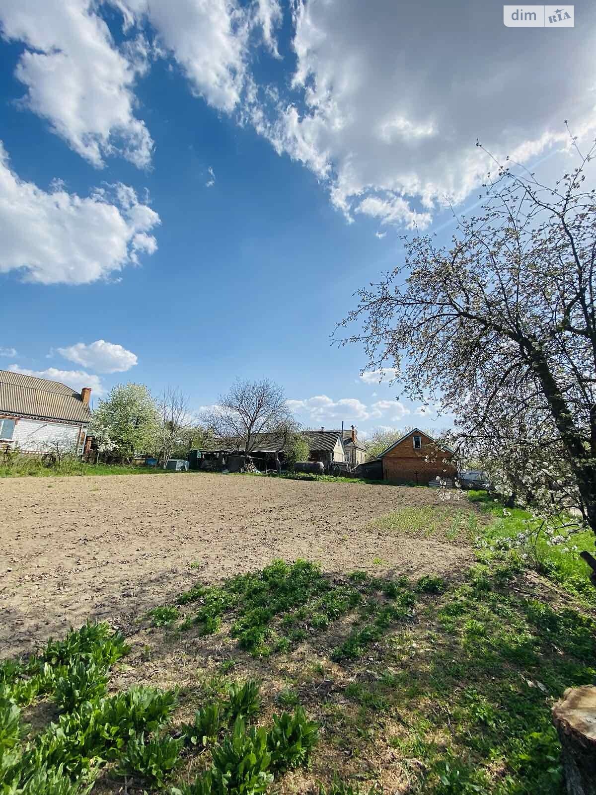 одноповерховий будинок з гаражем, 107 кв. м, цегла. Продаж в Немирові, район Немирів фото 1 одноповерховий будинок з гаражем, 107 кв. м, цегла. Продаж в Немирові, район Немирів фото 1