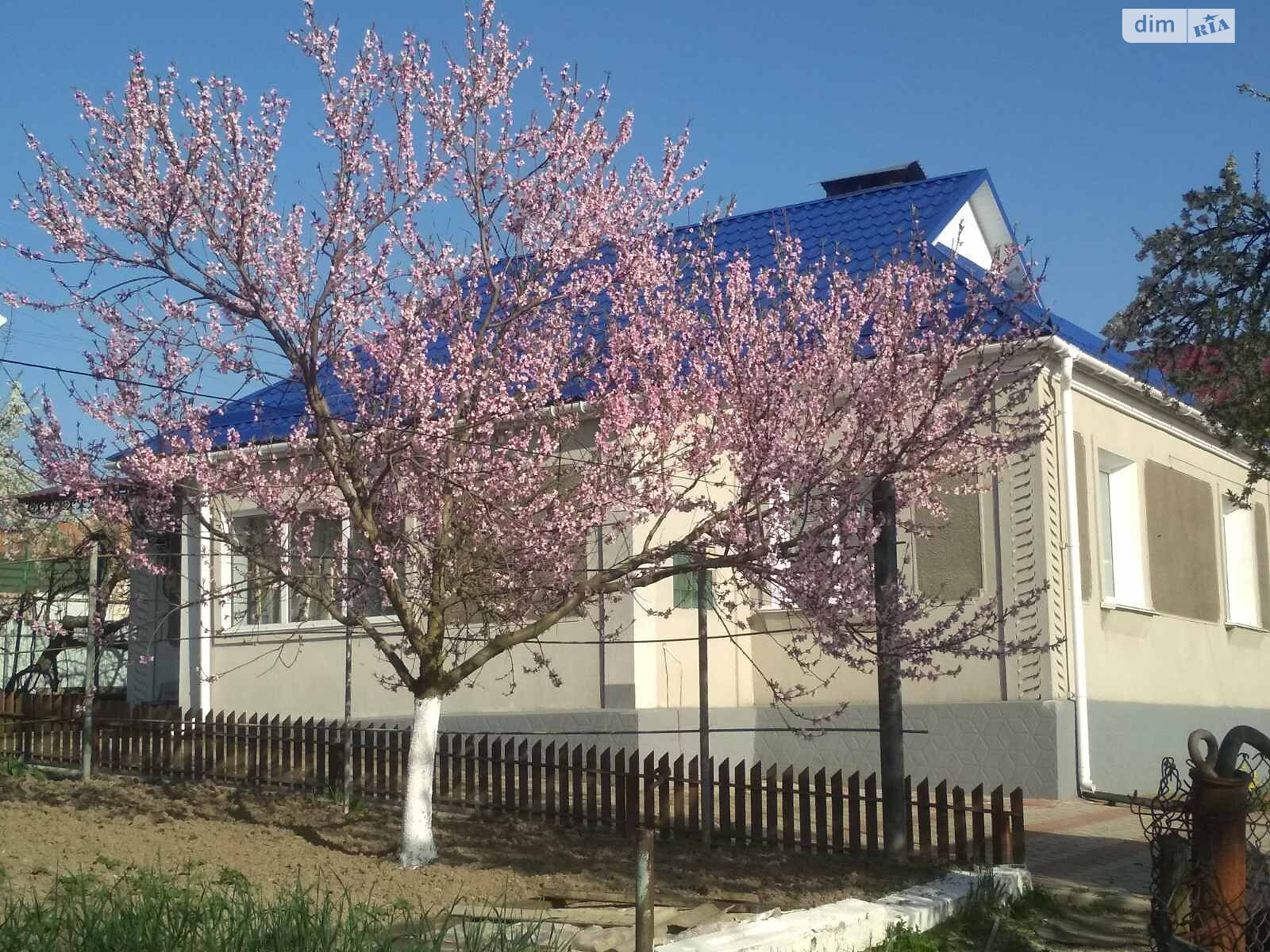 одноповерховий будинок з верандою, 71.3 кв. м, шлакоблок. Продаж в Немирові, район Немирів фото 1 одноповерховий будинок з верандою, 71.3 кв. м, шлакоблок. Продаж в Немирові, район Немирів фото 1