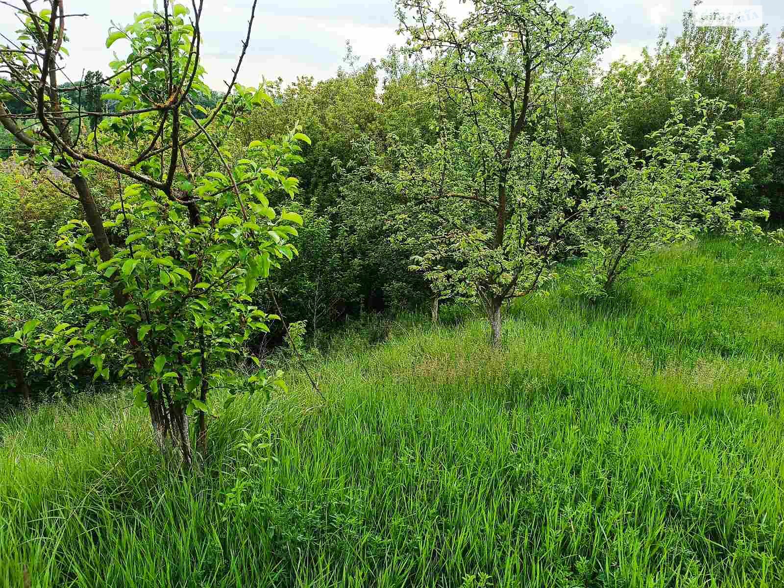 одноповерховий будинок з верандою, 71.3 кв. м, шлакоблок. Продаж в Немирові, район Немирів фото 1 одноповерховий будинок з верандою, 71.3 кв. м, шлакоблок. Продаж в Немирові, район Немирів фото 1