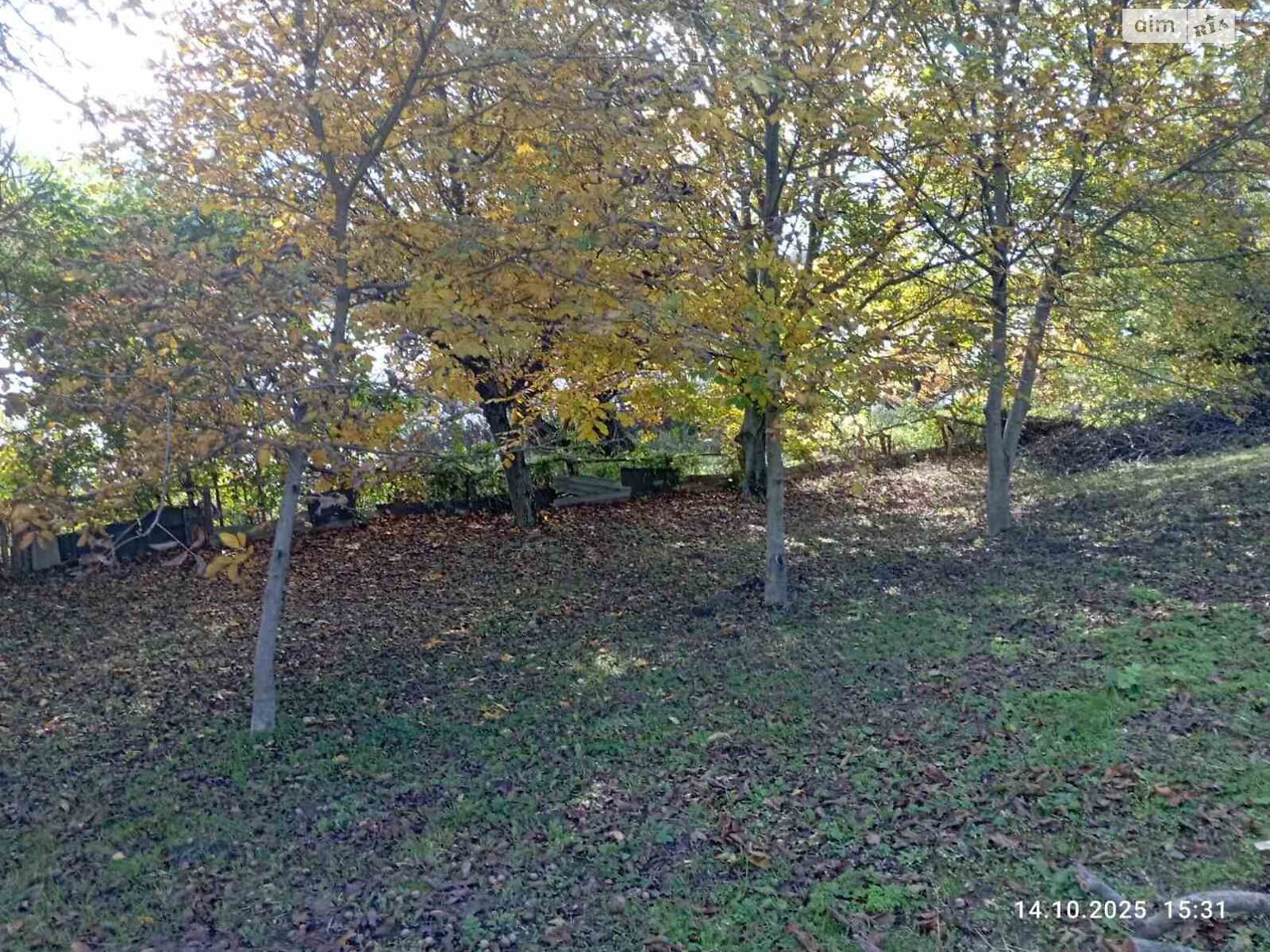 одноповерховий будинок, 80 кв. м, цегла. Продаж у Немії фото 1 одноповерховий будинок, 80 кв. м, цегла. Продаж у Немії фото 1