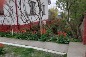 одноэтажный дом, 75 кв. м, кирпич. Продажа в Неполоковцах фото 2