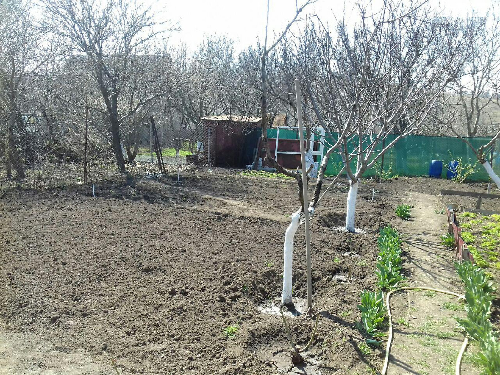 двухэтажный дом с верандой, 143 кв. м, кирпич. Продажа в Нерубайском фото 1 двухэтажный дом с верандой, 143 кв. м, кирпич. Продажа в Нерубайском фото 1