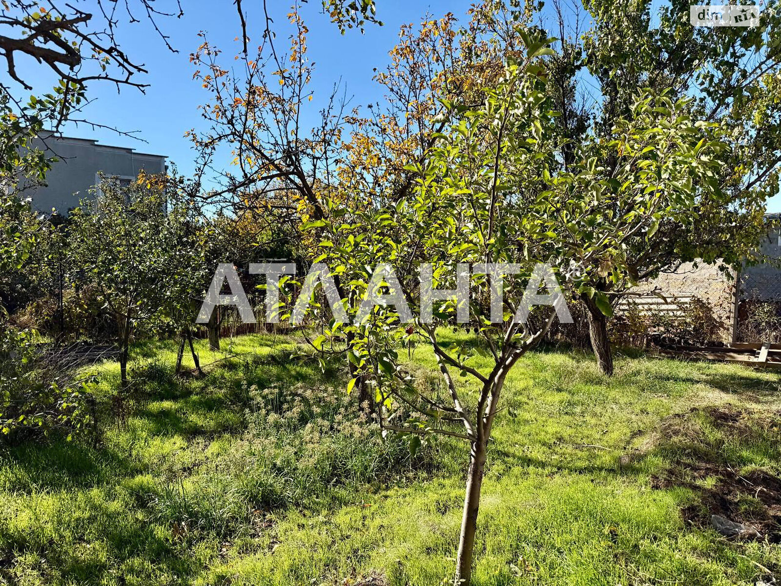 одноэтажный дом, 60 кв. м, газобетон. Продажа в Нерубайском фото 1 одноэтажный дом, 60 кв. м, газобетон. Продажа в Нерубайском фото 1