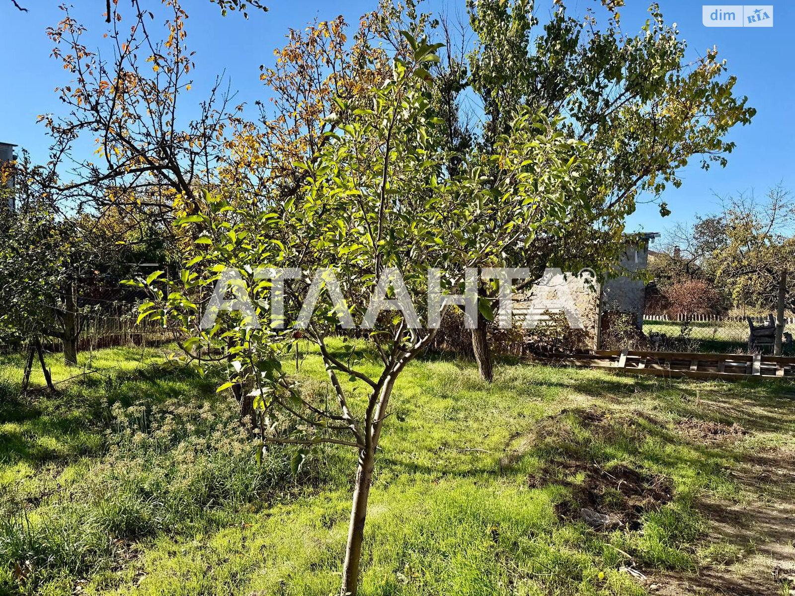 одноэтажный дом, 60 кв. м, газобетон. Продажа в Нерубайском фото 1 одноэтажный дом, 60 кв. м, газобетон. Продажа в Нерубайском фото 1