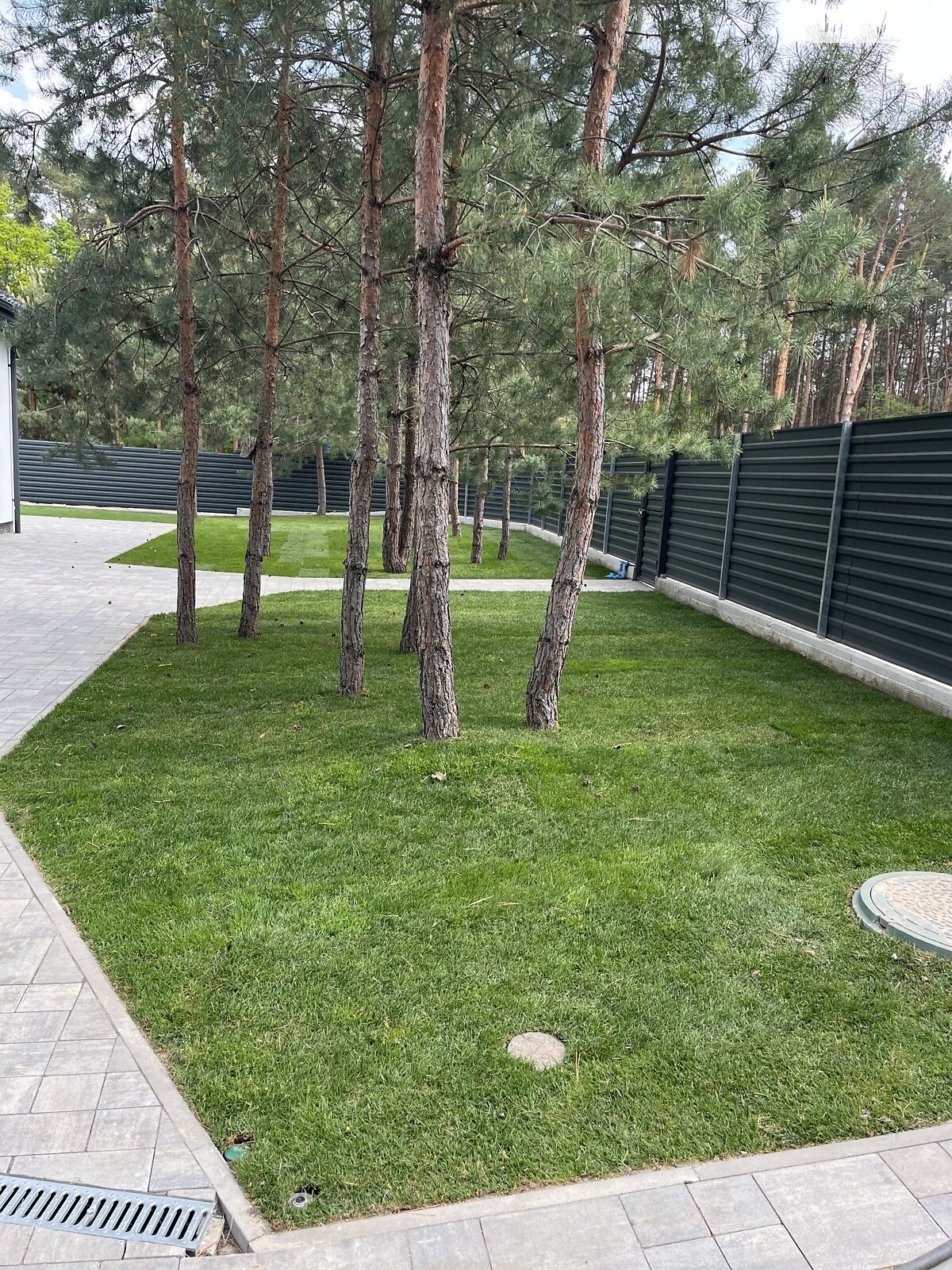 одноповерховий будинок з ремонтом, 110 кв. м, піноблок. Продаж у Нещеровому фото 1 одноповерховий будинок з ремонтом, 110 кв. м, піноблок. Продаж у Нещеровому фото 1