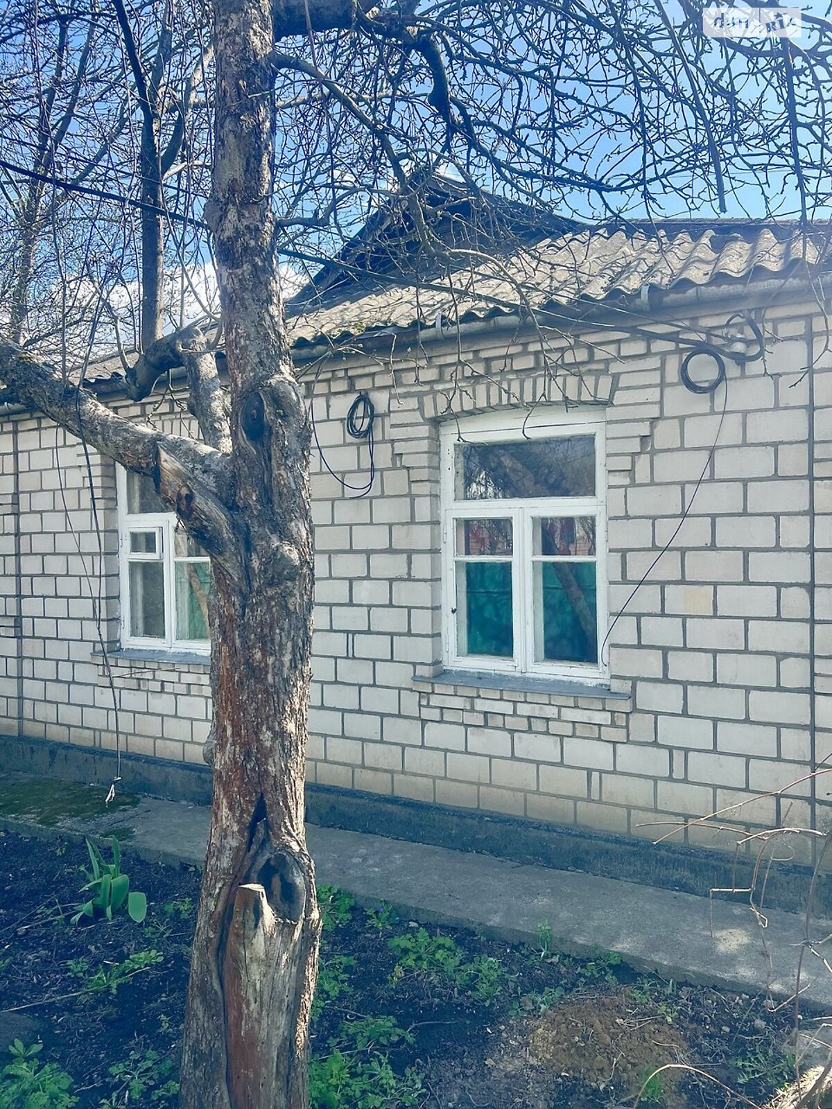 одноэтажный дом с гаражом, 57.3 кв. м, глинобитный. Продажа в Нестерварке фото 1 одноэтажный дом с гаражом, 57.3 кв. м, глинобитный. Продажа в Нестерварке фото 1